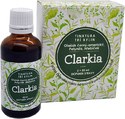 Clarkia